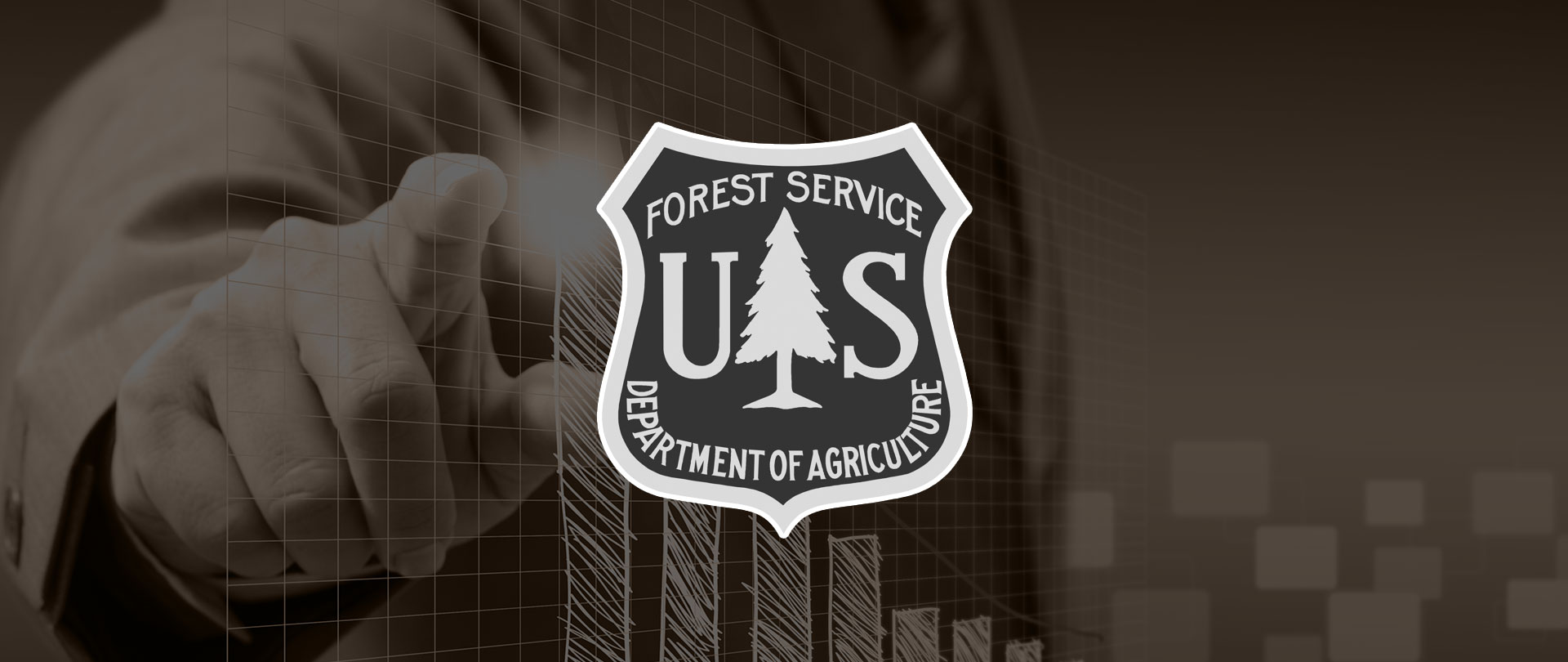 Program Management & Delivery – USDA FS